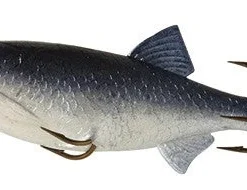 Mepps Replacement Minos Lures 6 Mepps Replacement Minos Lures