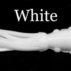 B2Squid Squid Bodies 12 B2Squid Squid Bodies