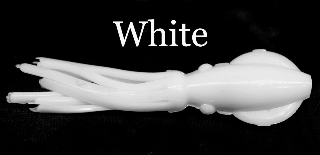 B2Squid Squid Bodies 6 B2Squid Squid Bodies