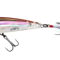 Yo-Zuri 3DR Popper Lures