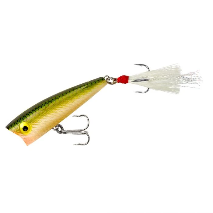 Lures Rebel Magnum Pop-R Poppers 6 Lures Rebel Magnum Pop-R Poppers