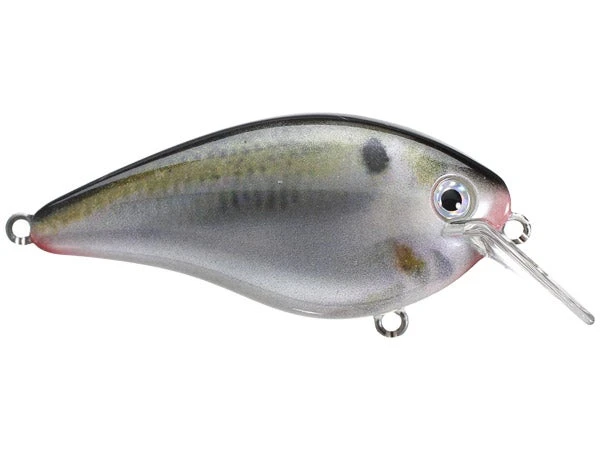 Lures Strike King KVD Squarebill 1.5 Silent Crankbaits 5 Lures Strike King KVD Squarebill 1.5 Silent Crankbaits