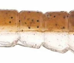 Lures Berkley Gulp! Translucent Shrimp Soft Baits