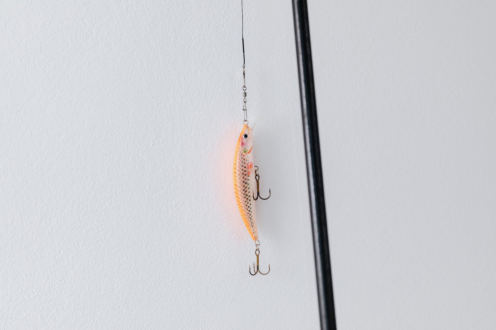 Tackle World Online Shop -TACKLE WORLD Store 4558